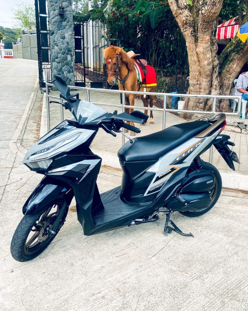 Horse and bike2