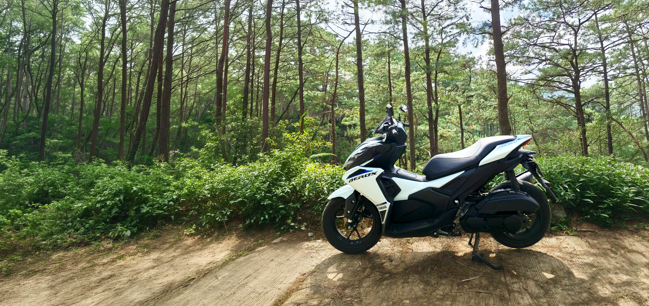 Valdez Motorbike Renal Aerox 155 v3